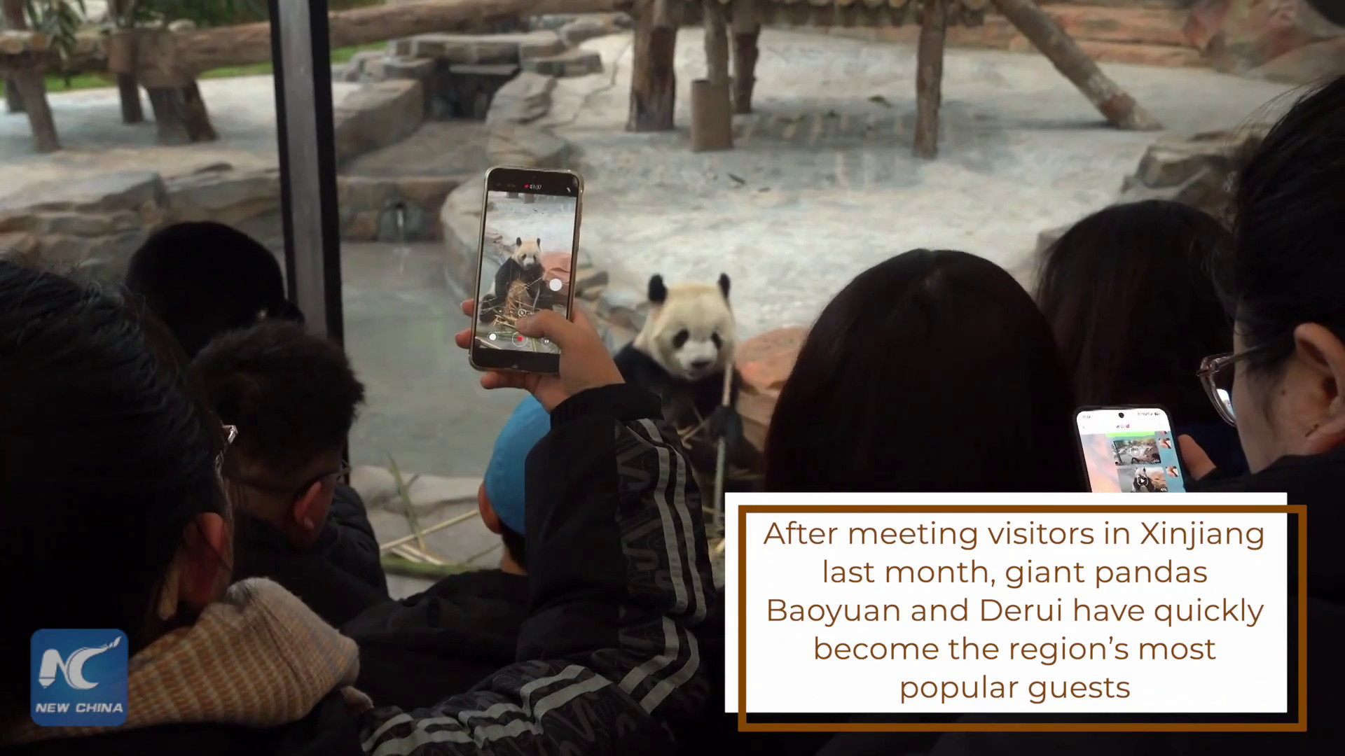 Cina: Xinjiang, panda giganti conquistano i cuori delle persone