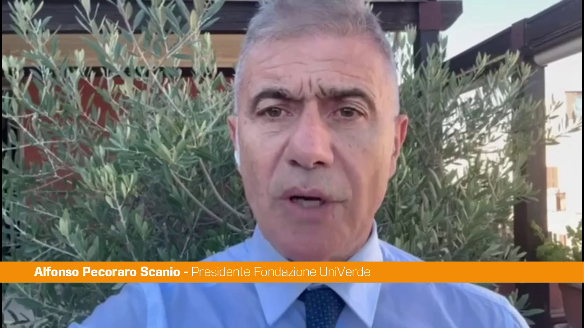 Pecoraro Scanio 