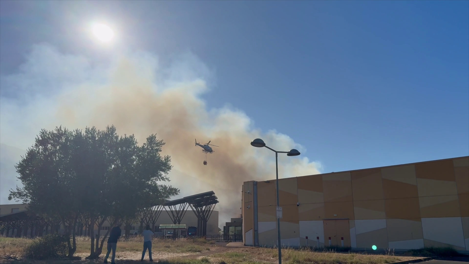 Incendio al Conca d'Oro di Palermo, in azione anche elicottero della Forestale