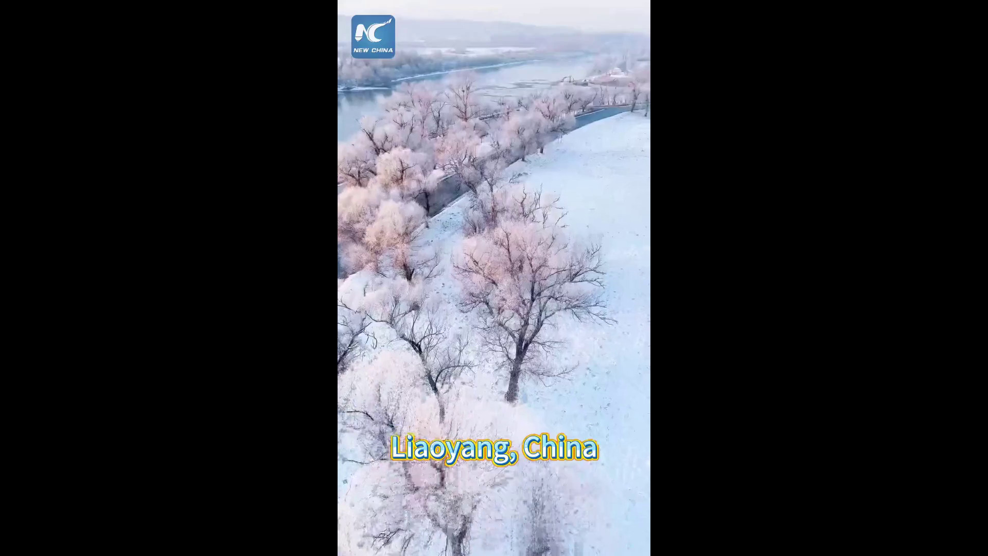 Cina, splendido paesaggio ricoperto di brina nel nordest del Paese