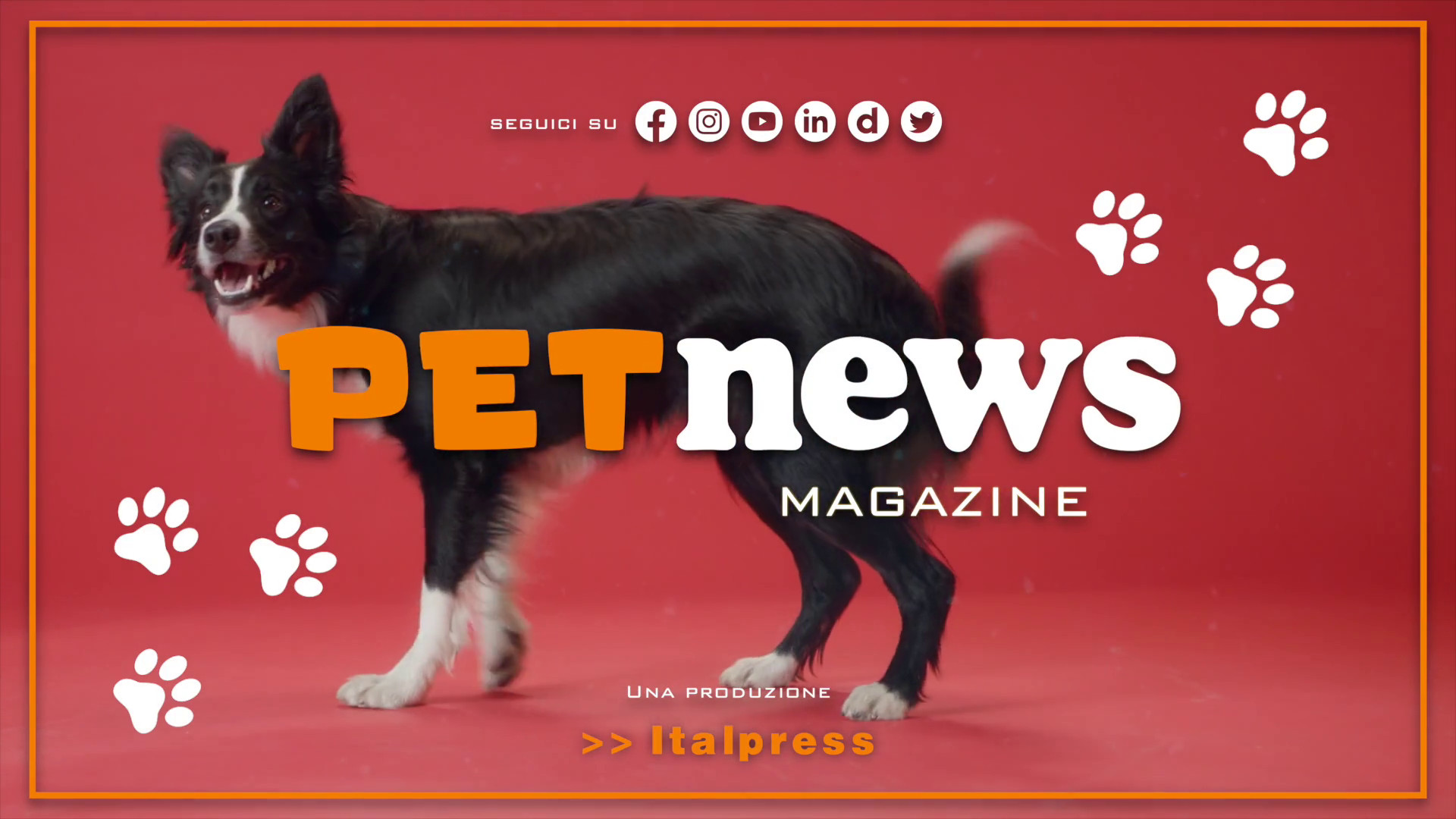 PetNews Magazine - 17/1/2024