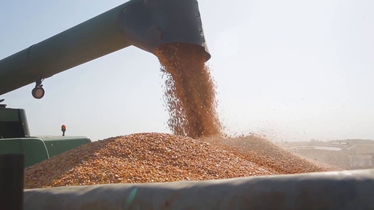 Hubfarm, innovazione per le imprese agricole