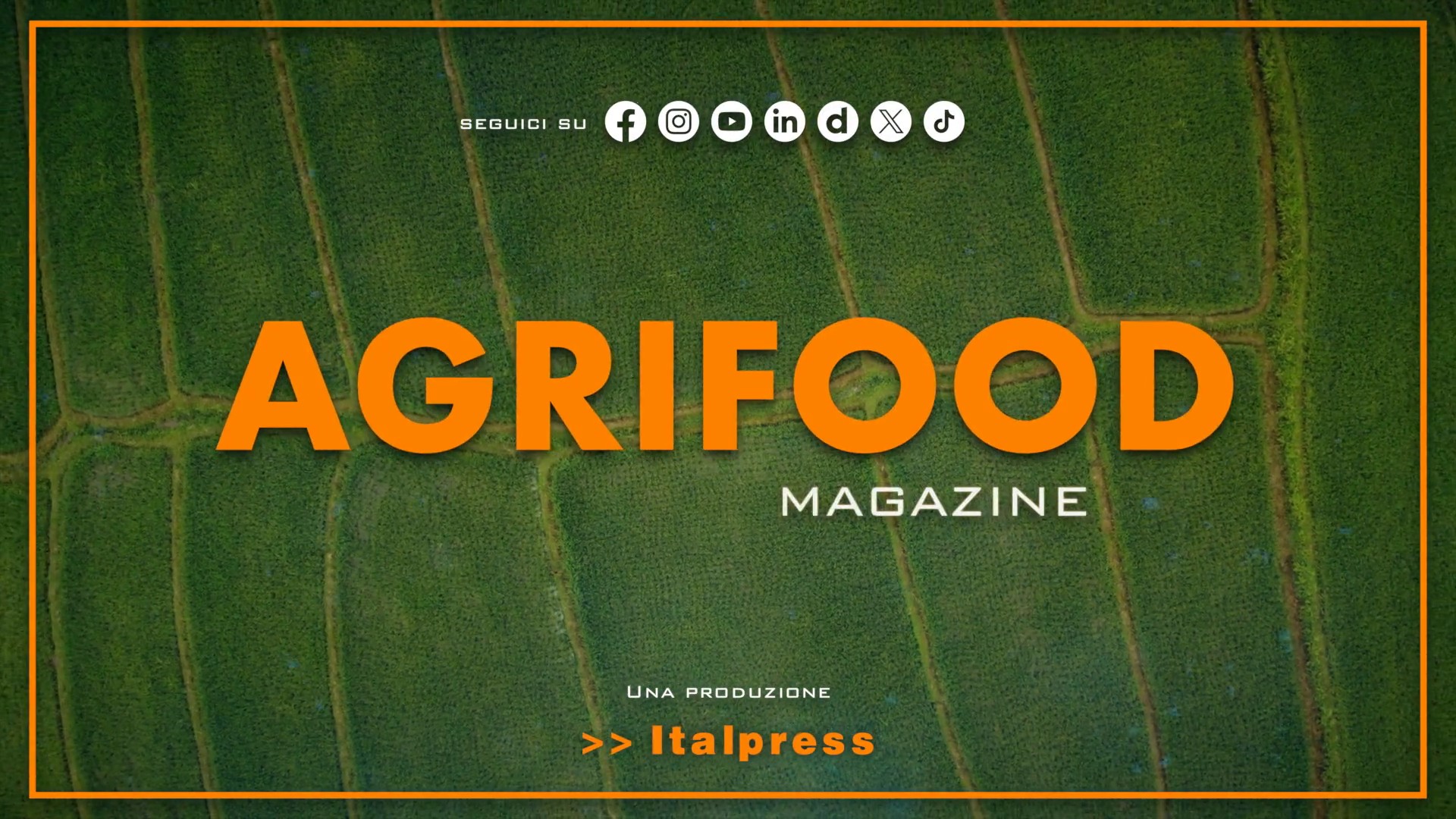 Agrifood Magazine - 28/10/2026