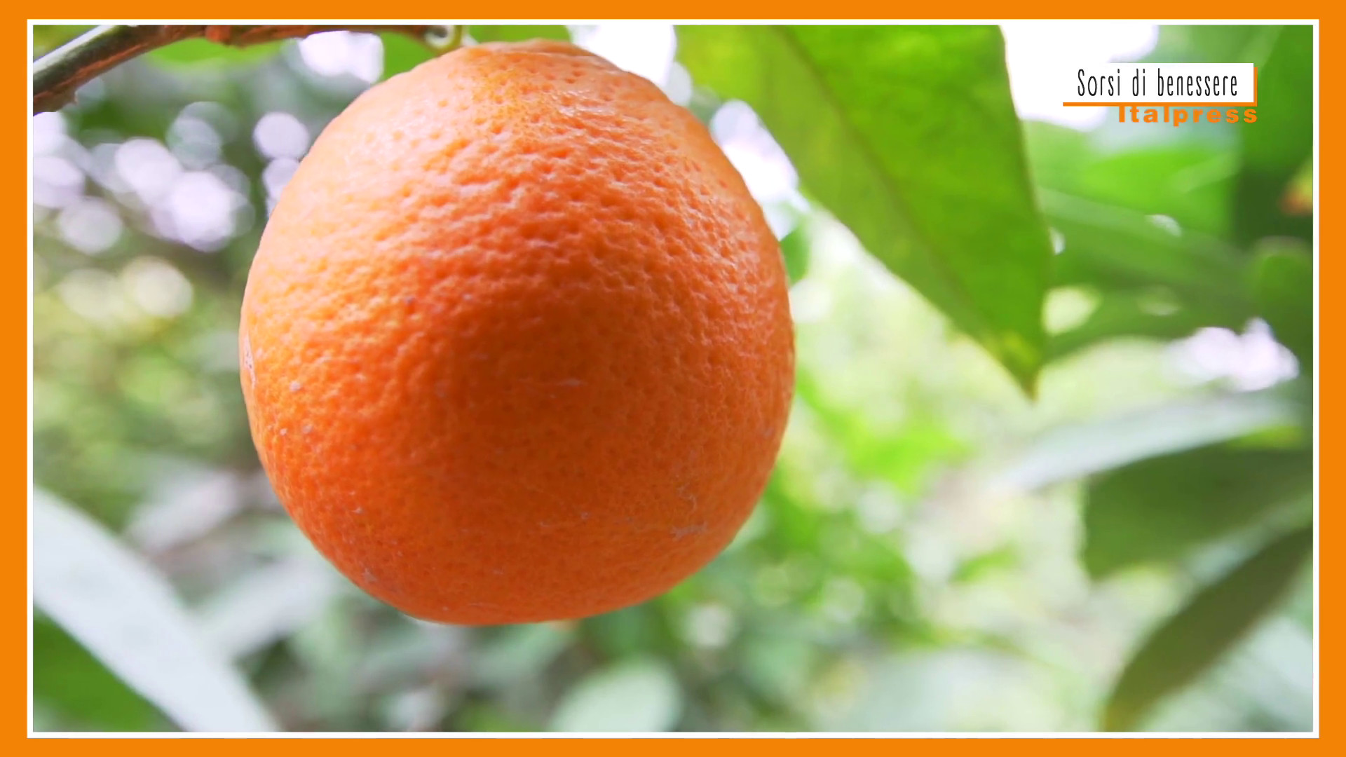 Sorsi di Benessere - Un condimento ricco di vitamine