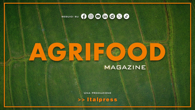 Agrifood Magazine - 8/5/2024