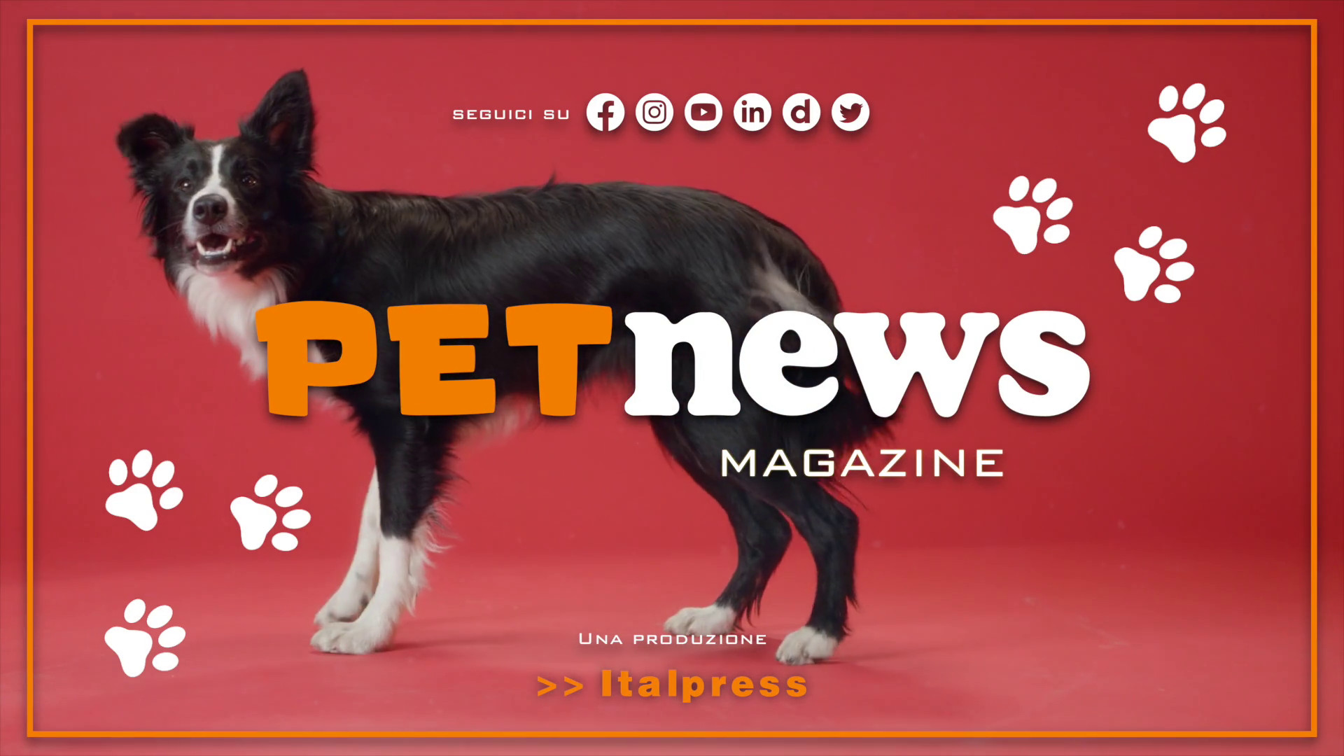 PetNews Magazine - 22/8/2023