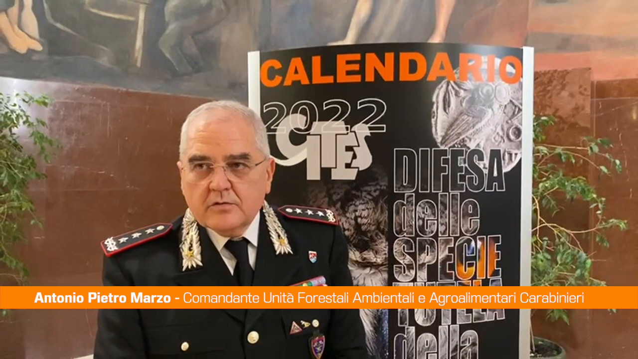 Carabinieri, le specie protette nel calendario Cites