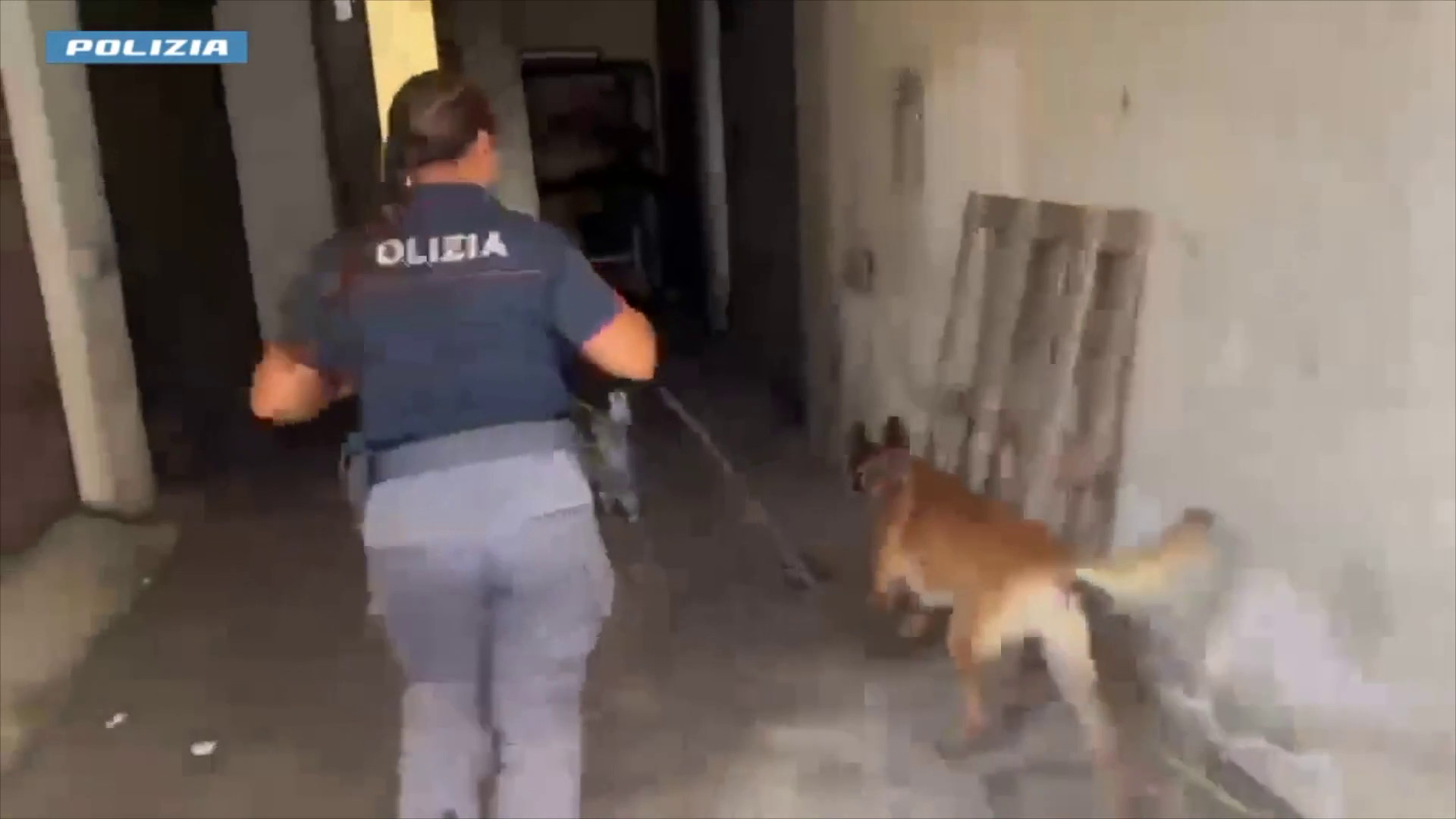 A Catania scoperti 2 chili di marijuana nel sottoscala di un condominio