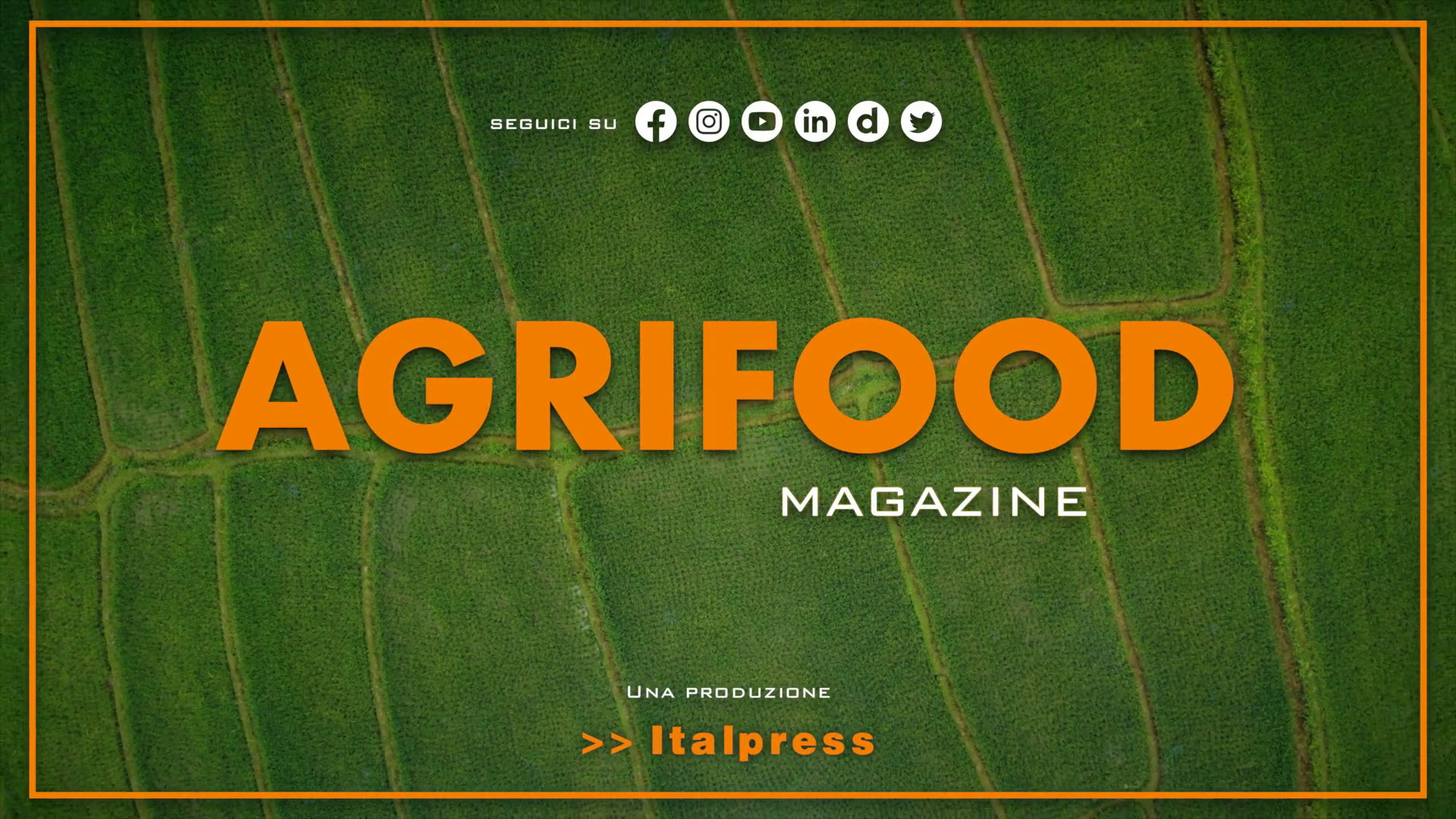 Agrifood Magazine - 10/1/2024