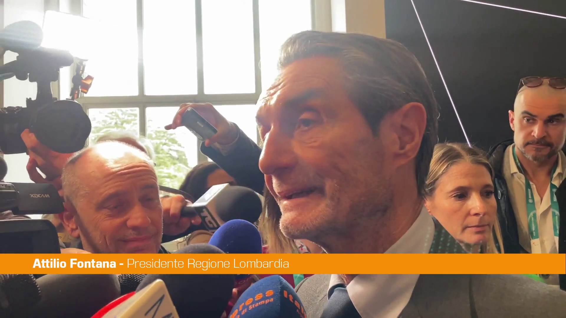 Palazzetto del ghiaccio Rho Fiera, Fontana 