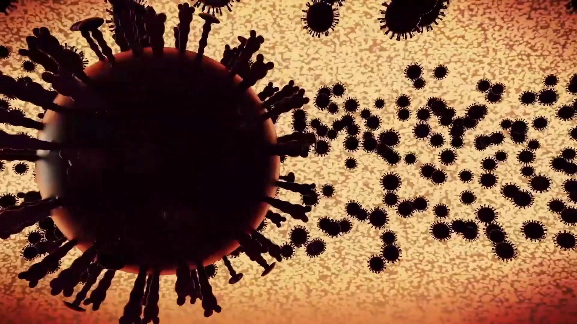 Covid, gli anticorpi monoclonali contro il virus