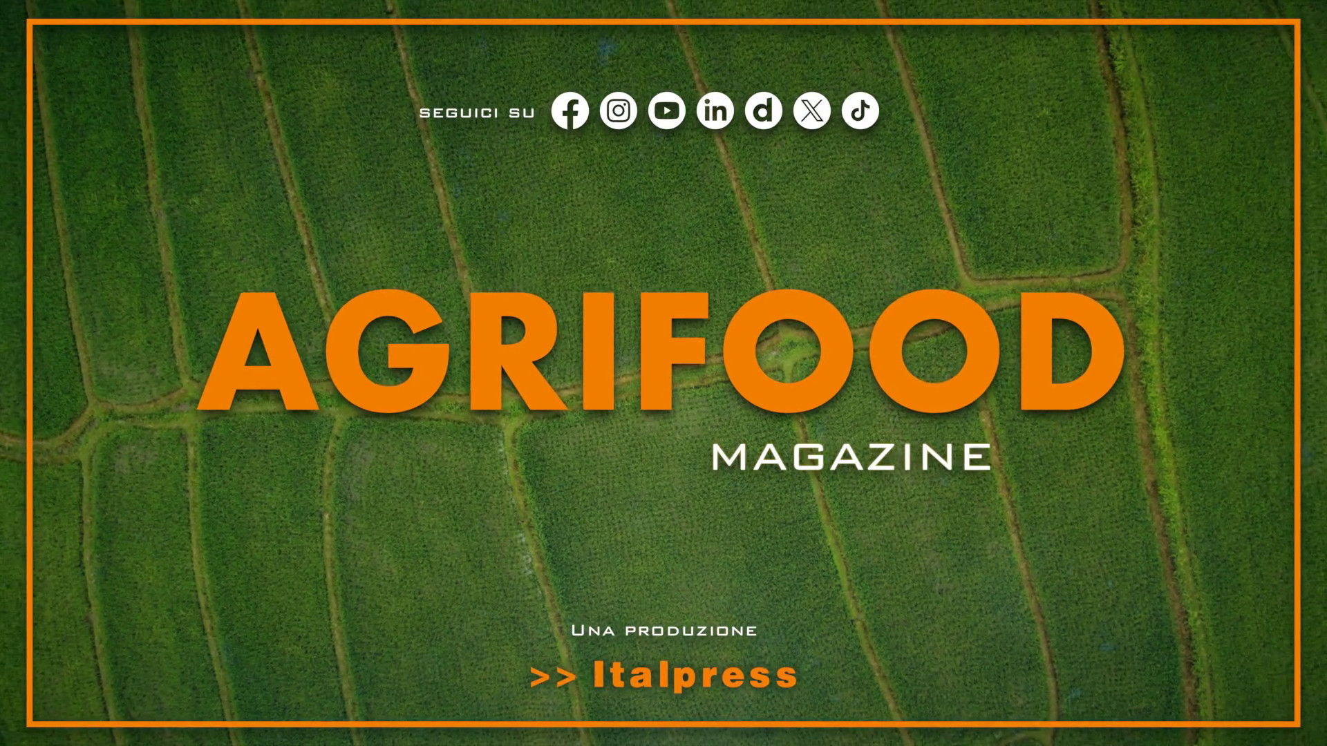 Agrifood Magazine - 19/8/2026