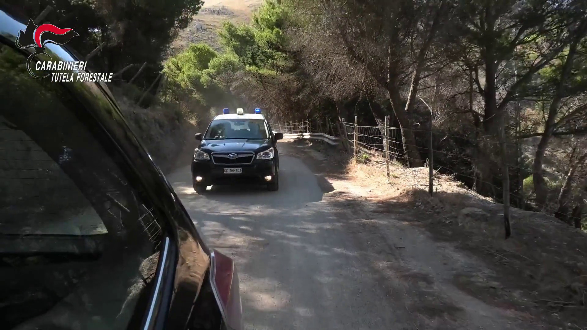 Danno fuoco a cavi di rame in un bosco nel palermitano, due arresti