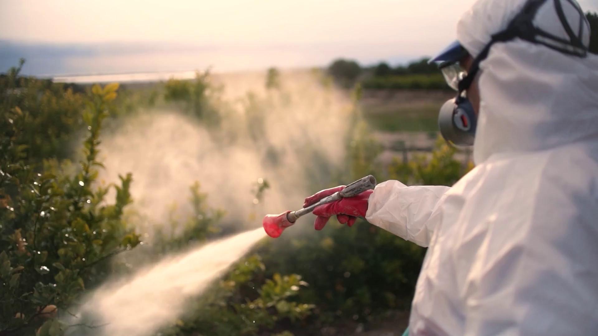 Pesticidi, ricercatori contro la semplificazione delle autorizzazioni