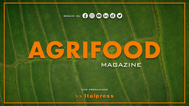 Agrifood Magazine - 30/11/2022