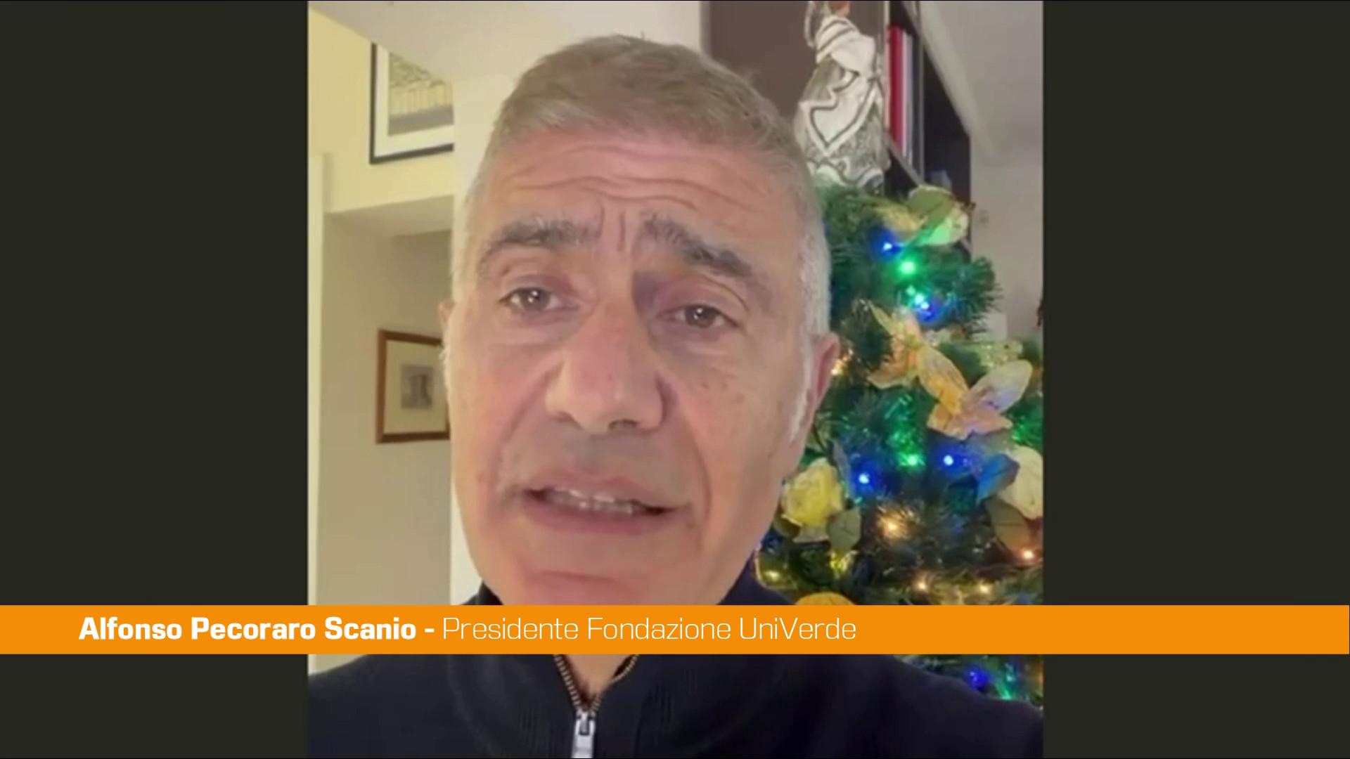 Ponte sullo Stretto, Pecoraro Scanio 