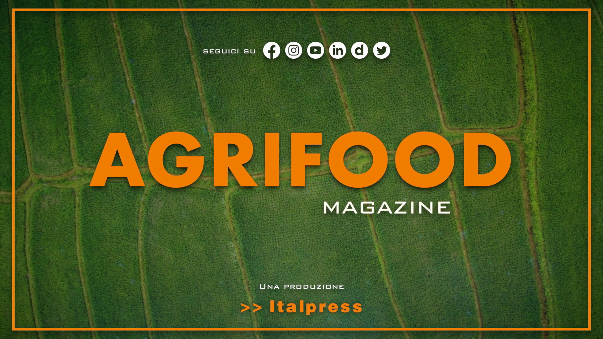 Agrifood Magazine - 13/12/2023