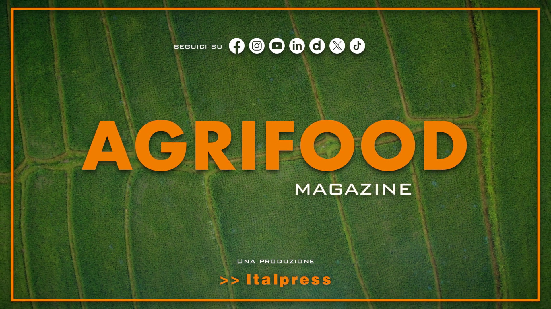 Agrifood Magazine – 23/10/2024