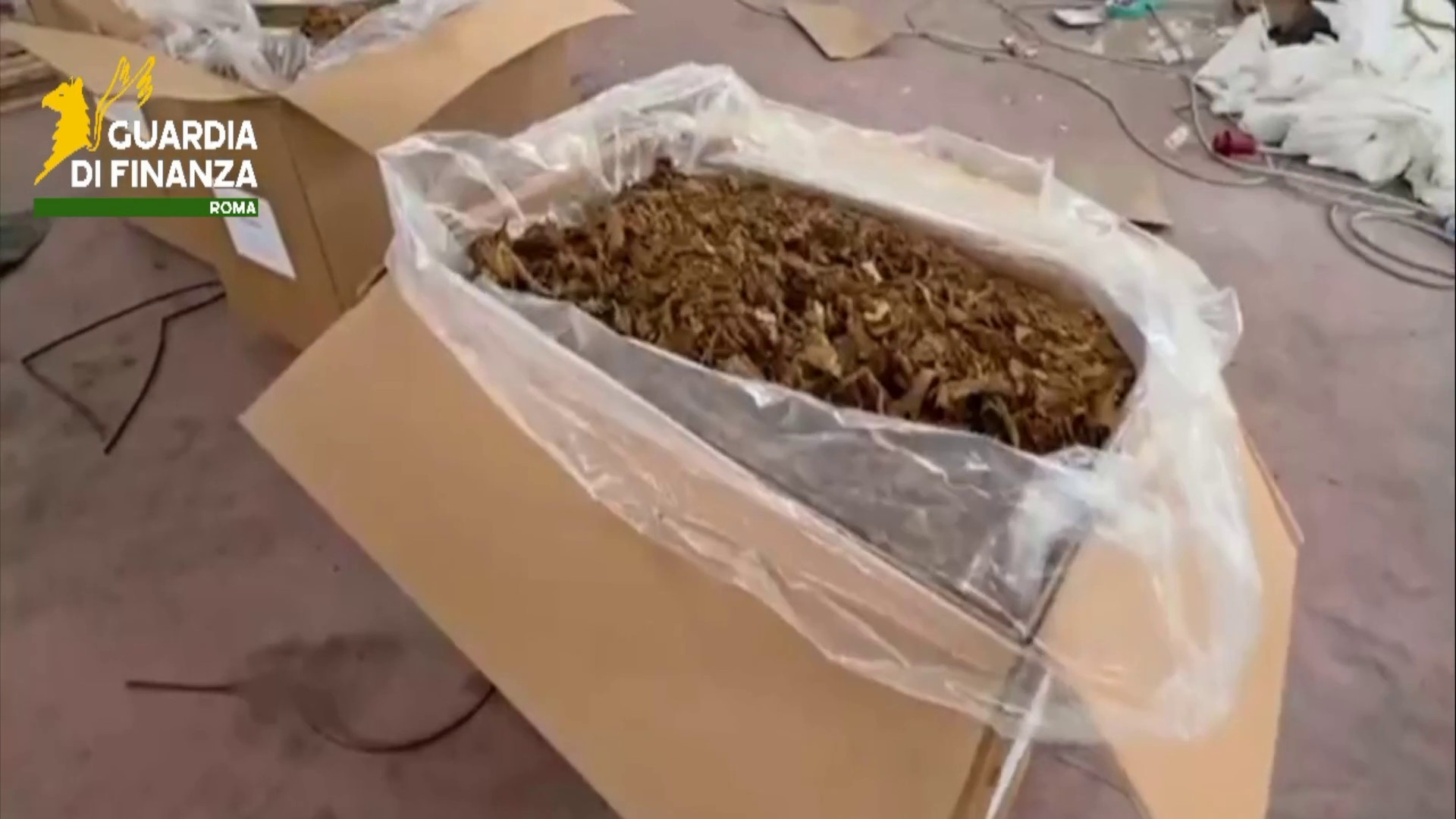 Roma, maxi sequestro di tabacco in un capannone