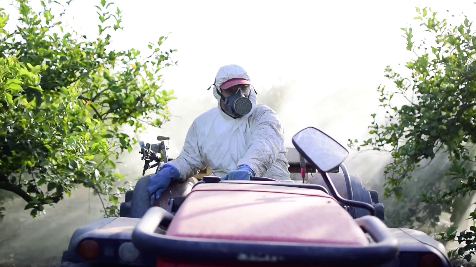 Slow Food, divieti pesticidi Ue valgano anche in Paesi terzi