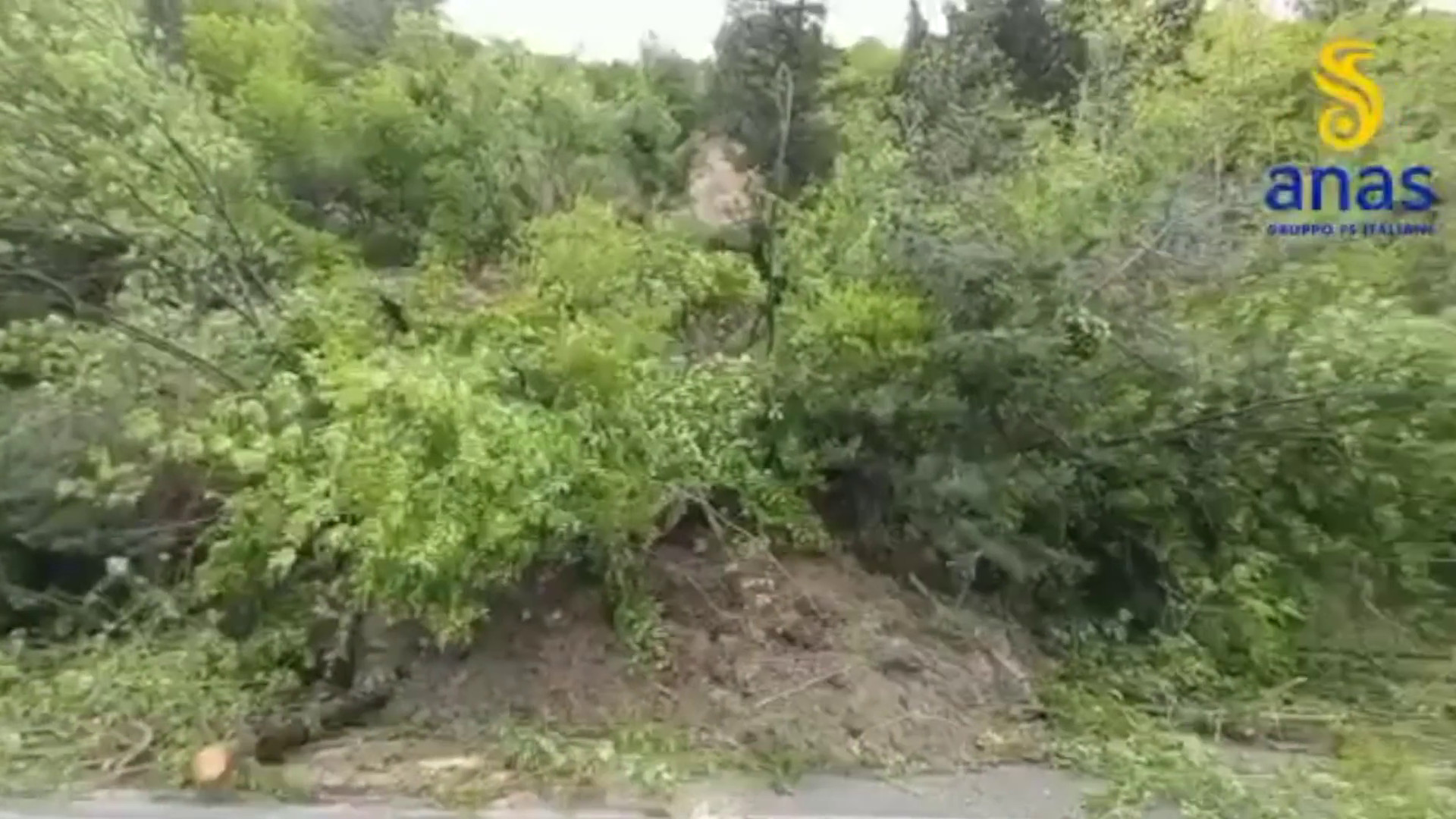 Il fiume Lamone in piena a Mezzano, le immagini