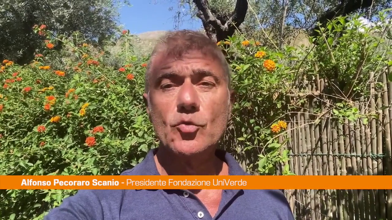 Pecoraro Scanio