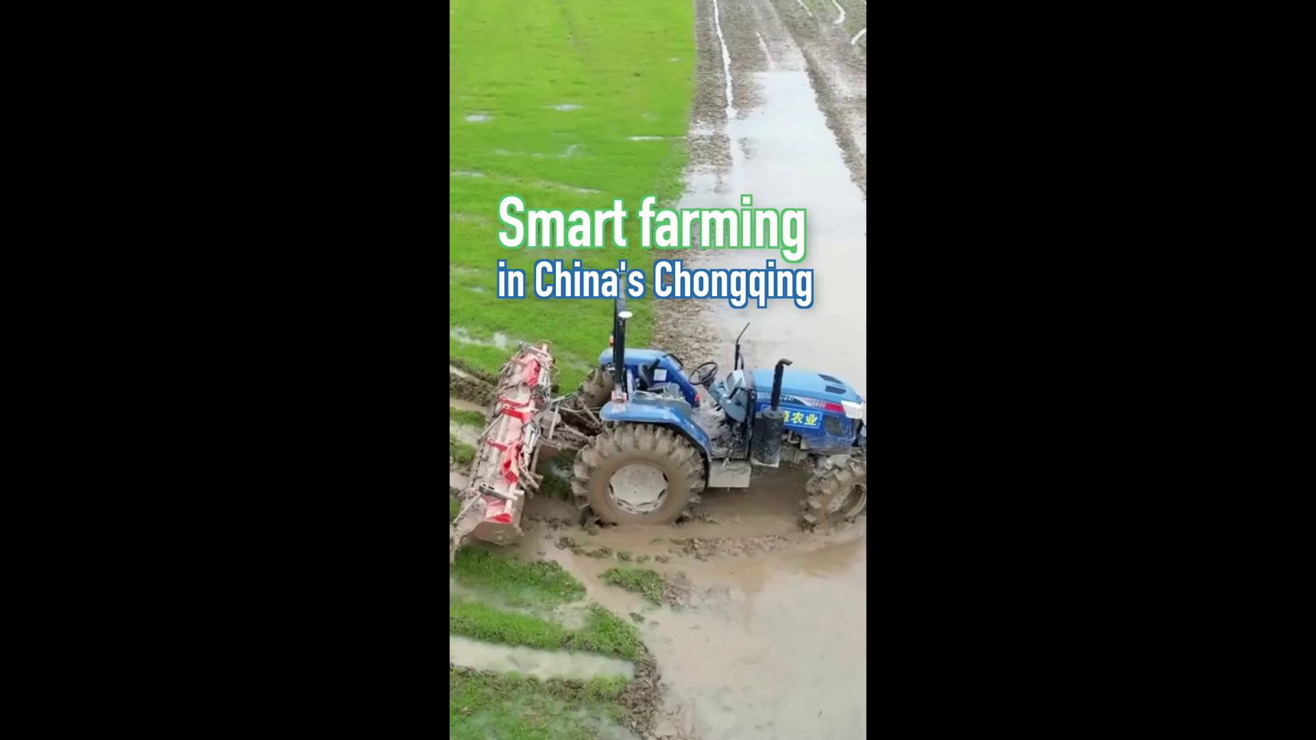 Cina: tecnologia intelligente rivoluziona l'agricoltura primaverile a Chongqing