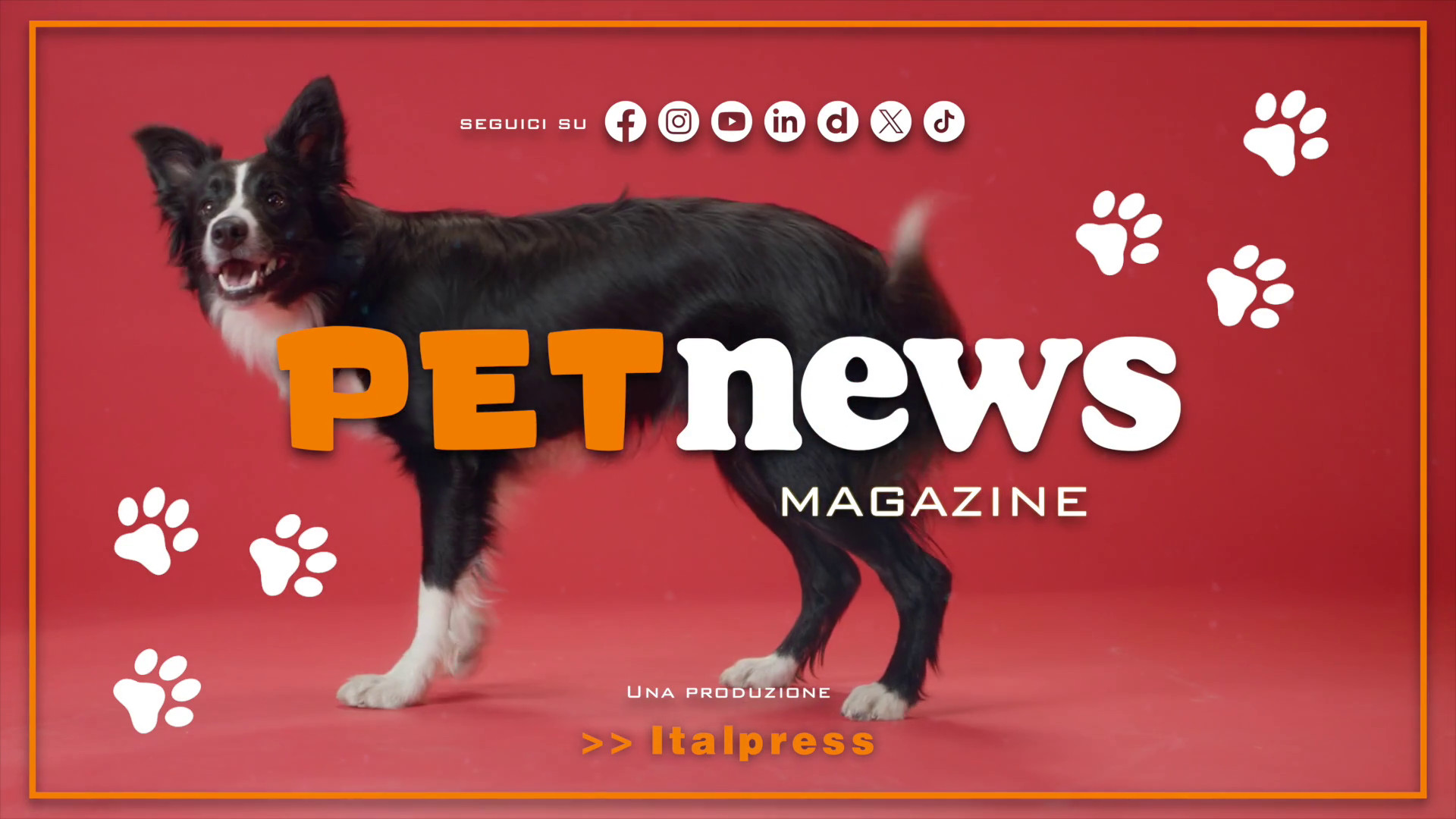 PetNews Magazine - 28/2/2024