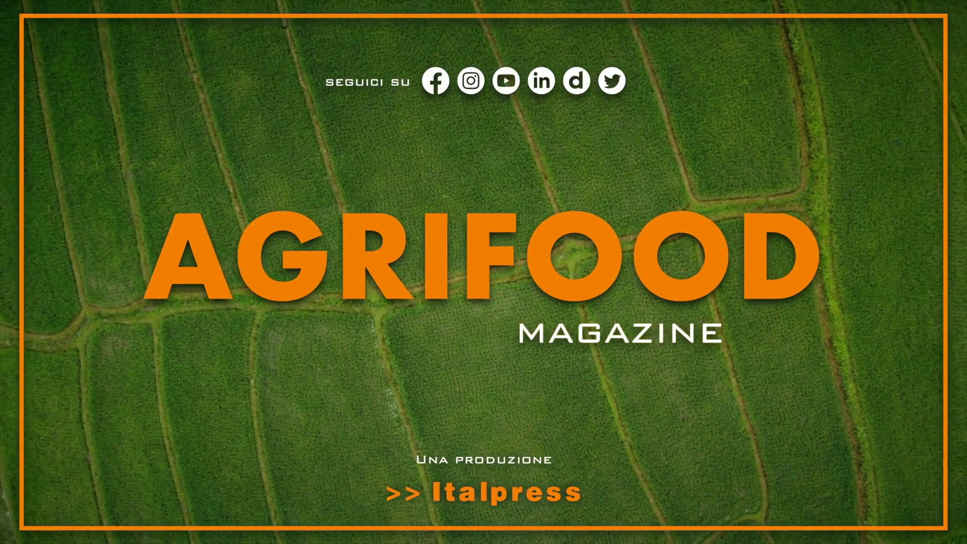 Agrifood Magazine - 22/11/2023