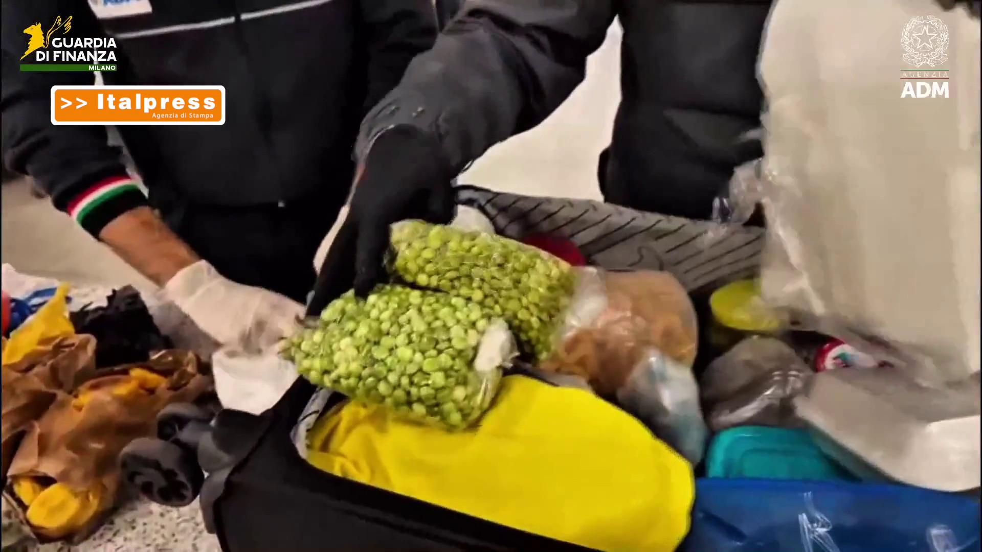 All'aeroporto di Linate sequestrate 6,5 tonnellate di alimenti non sicuri