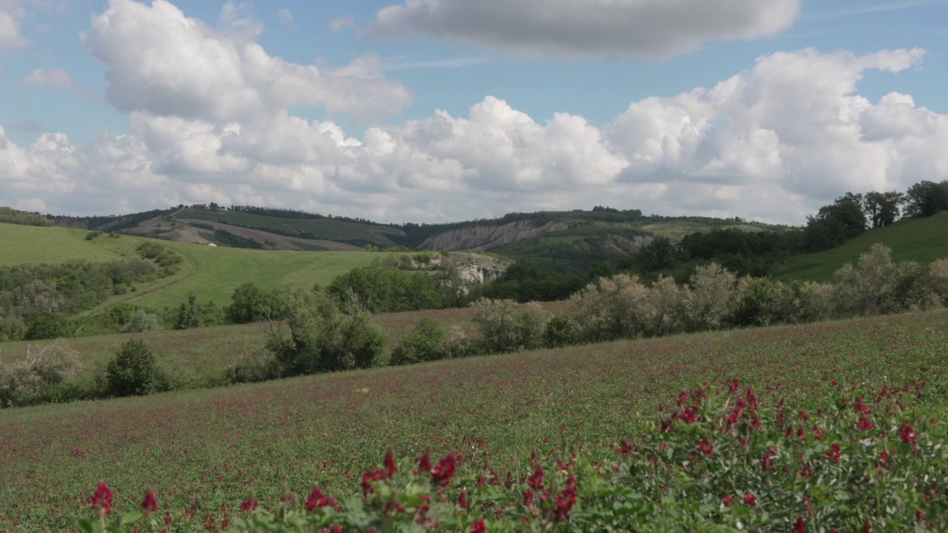 Generali e Gruppo Leone Alato inaugurano l'Oasi Gregorina