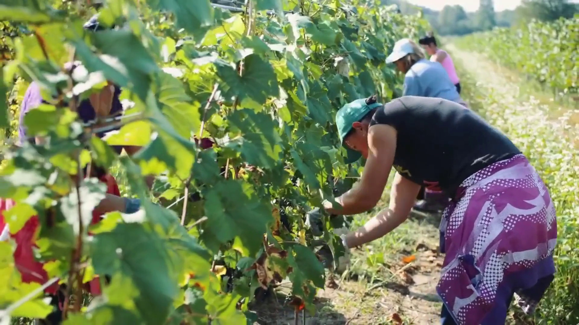 Agroalimentare, vola l'export