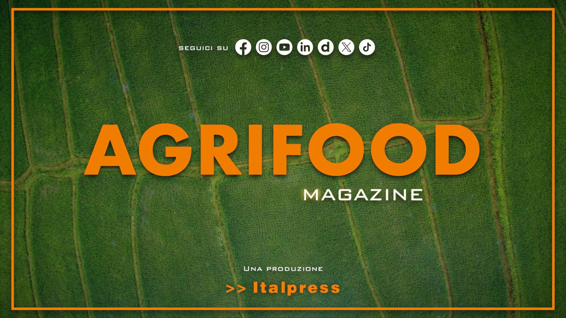 Agrifood Magazine - 11/2/2026