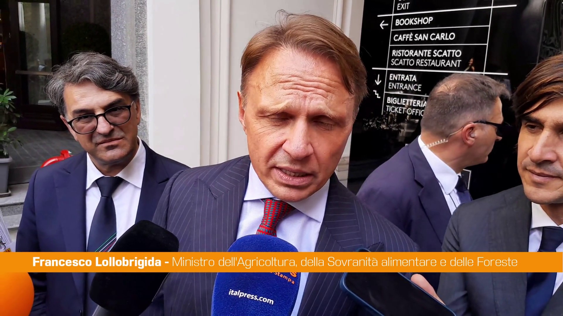 Lollobrigida 