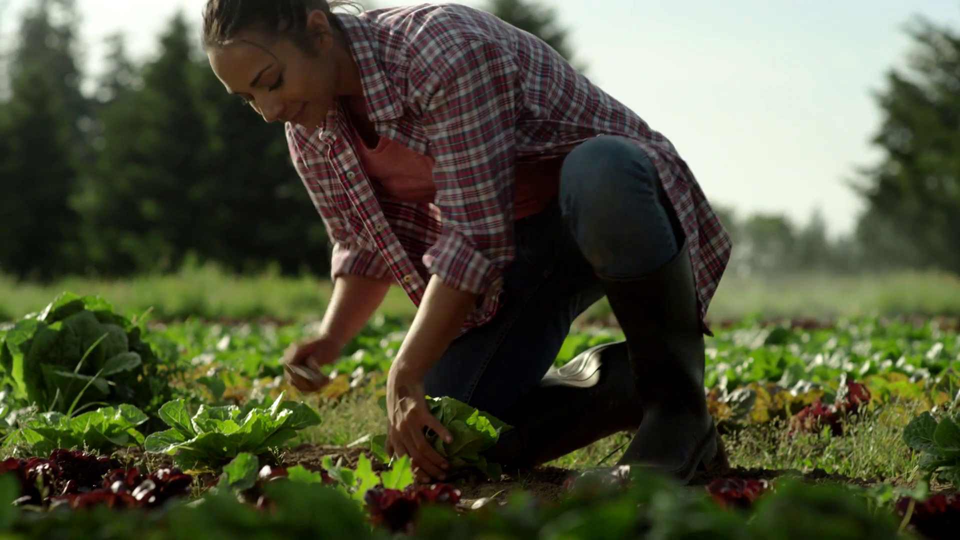 FAO, cruciale il ruolo dei giovani nei sistemi agroalimentari