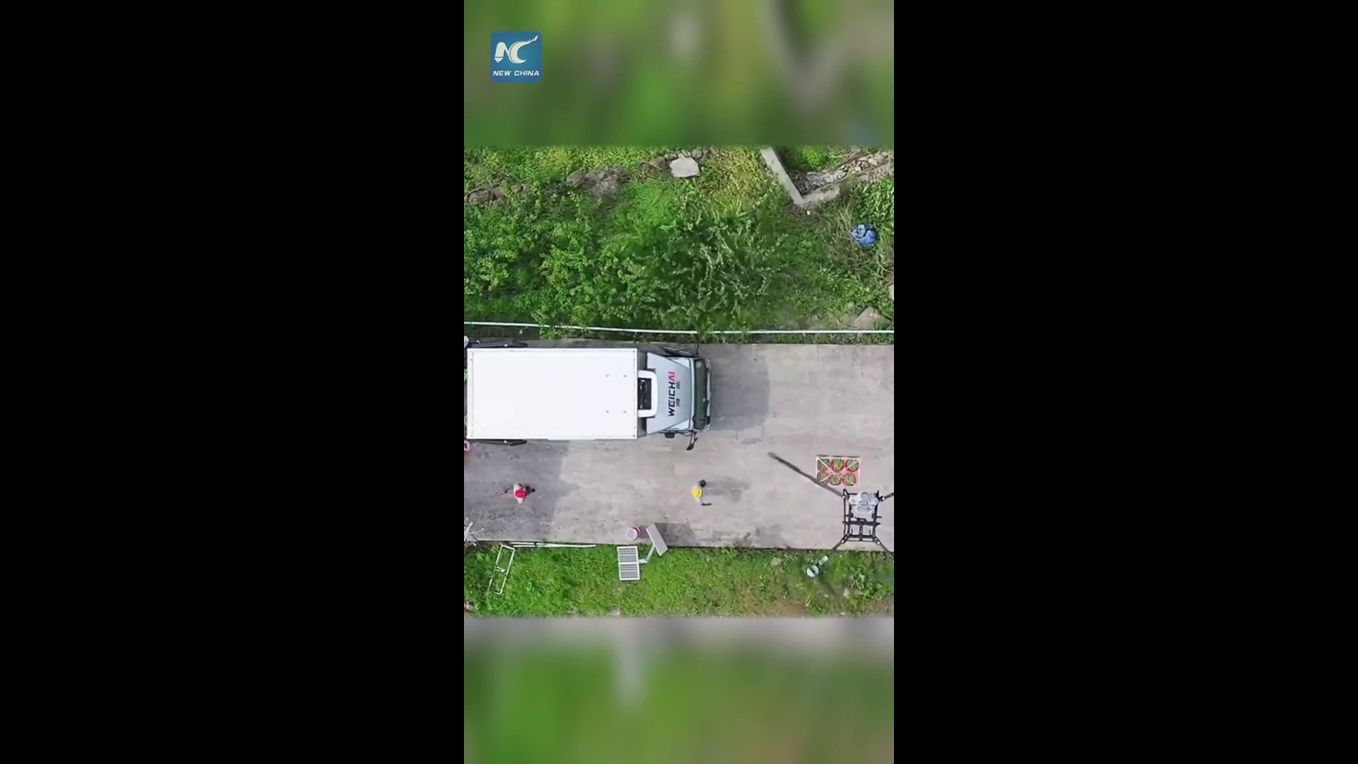 Cina, droni e un sistema monorotaia velocizza la consegna delle prugne