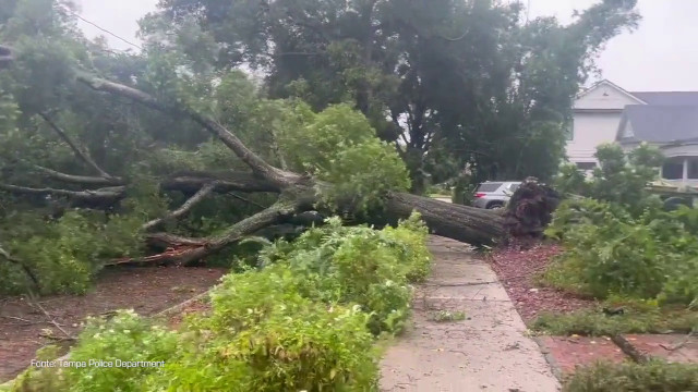 Uragano in Florida, un albero finisce sui cavi della linea elettrica
