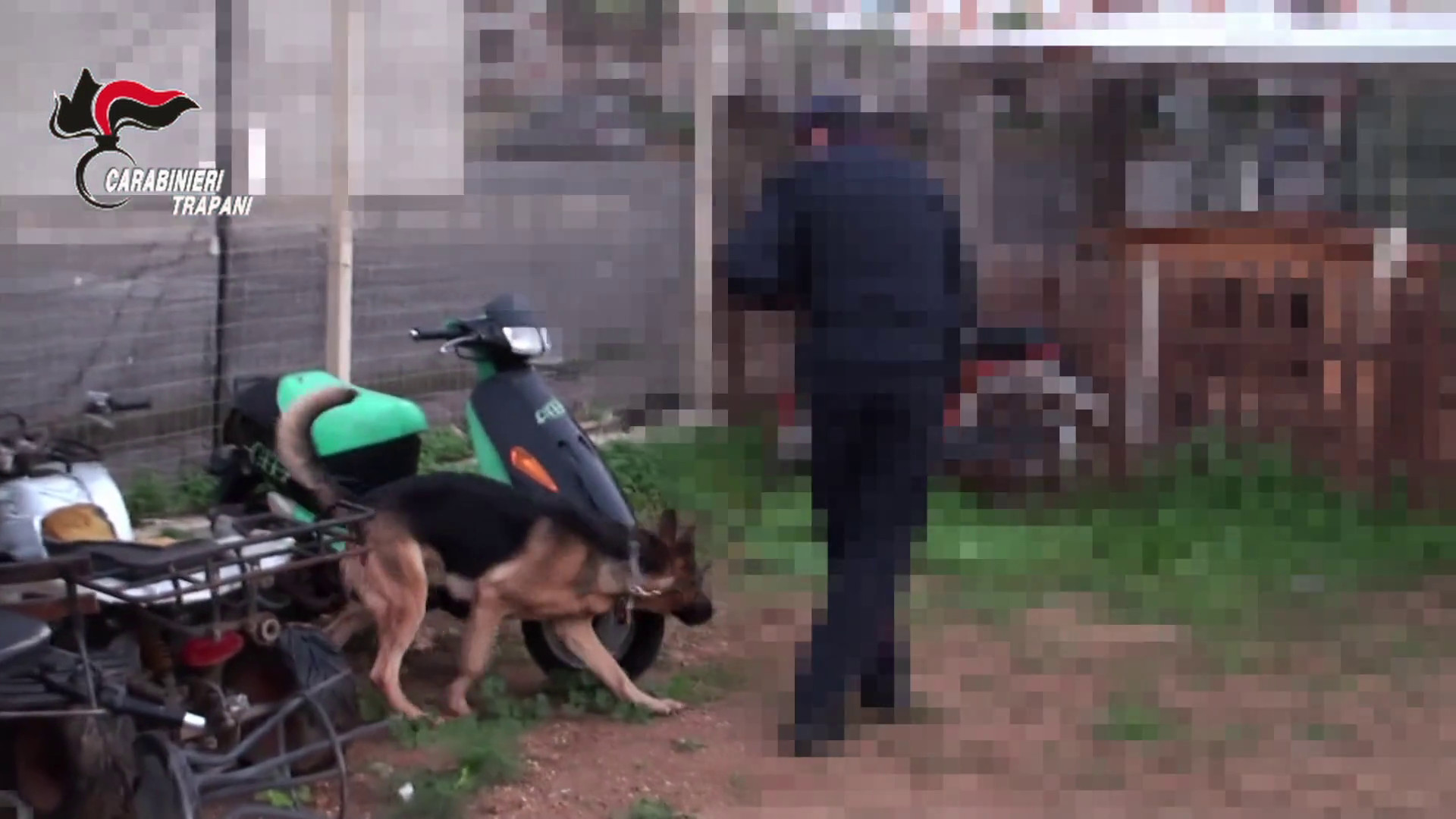Mafia e droga nel trapanese, blitz con 12 arresti