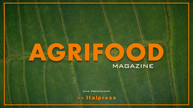 Agrifood Magazine - 1/12/2021