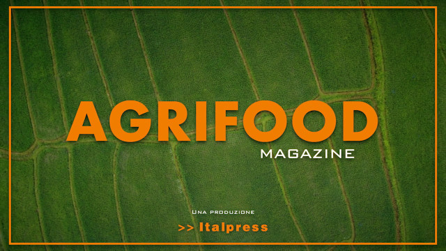 Agrifood Magazine - 12/1/2022
