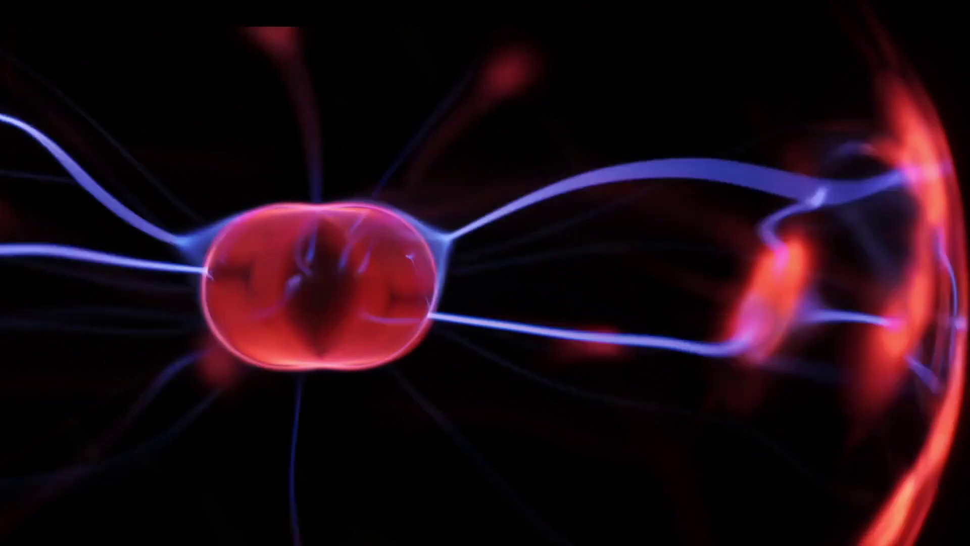 La fotostimolazione per le cellule muscolo-scheletriche