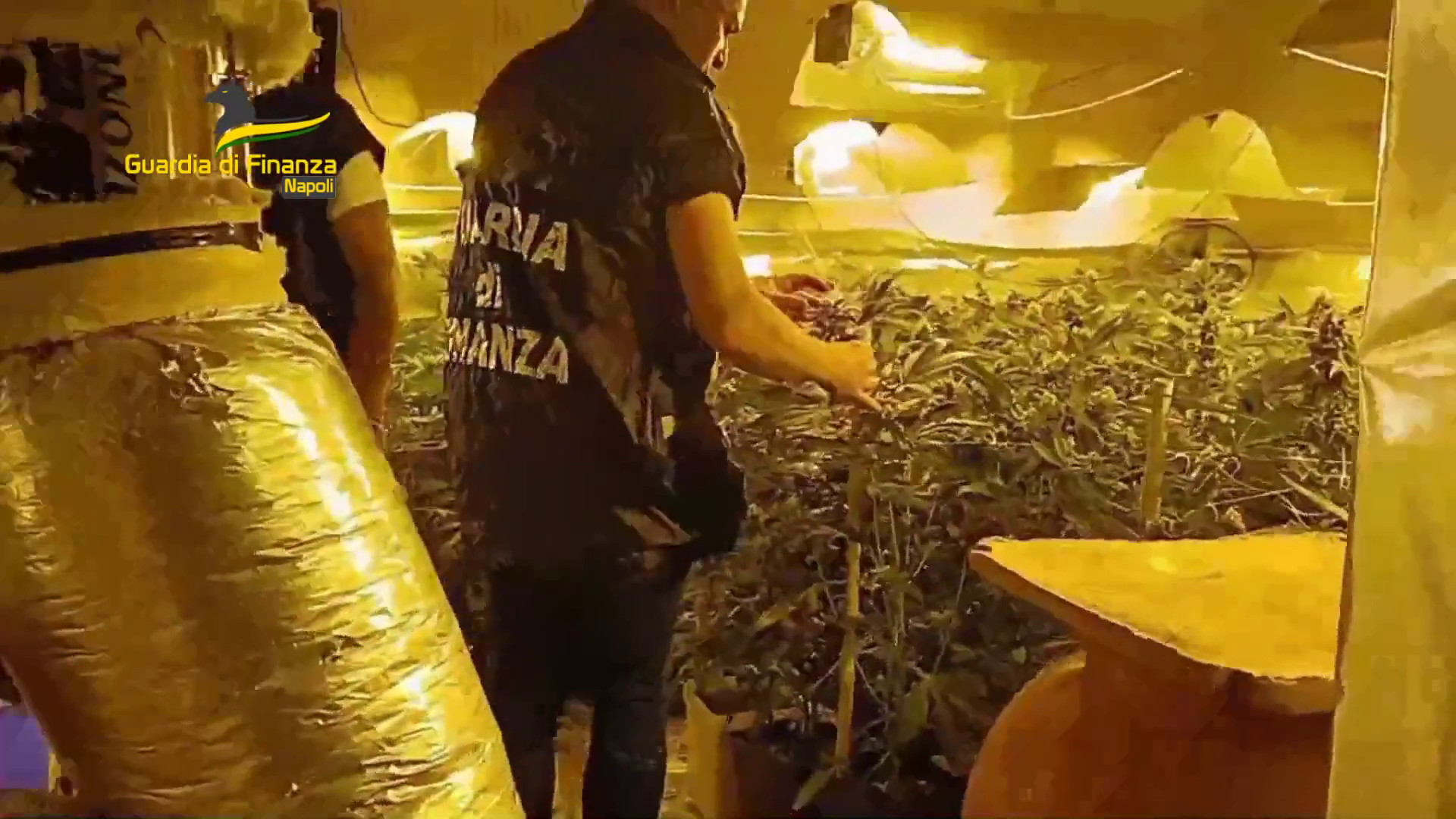 Napoli, sequestrati 11 kg di cocaina. Arrestato corriere della droga