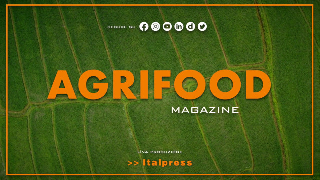 Agrifood Magazine – 29/11/2023