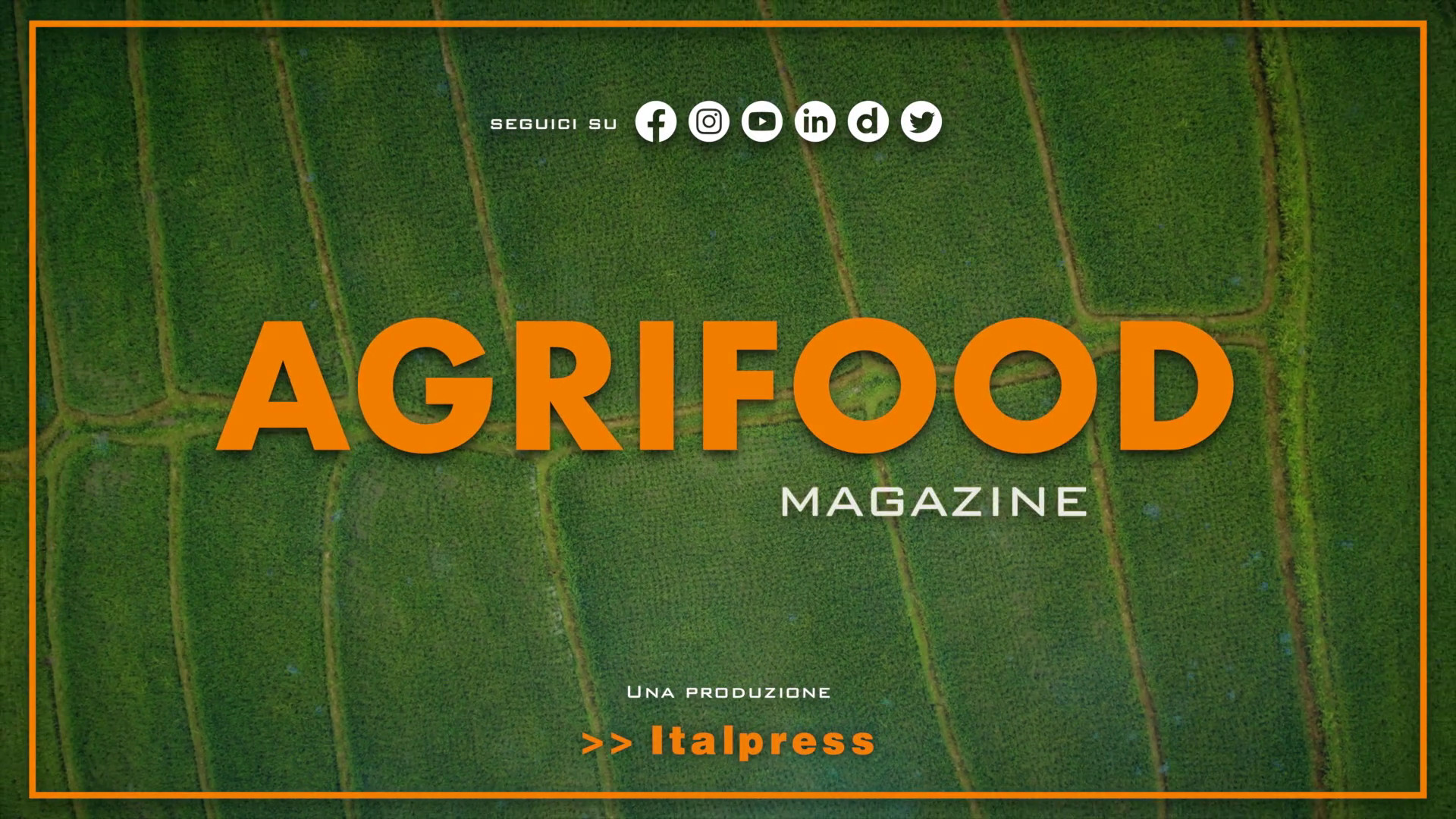 Agrifood Magazine - 17/1/2024