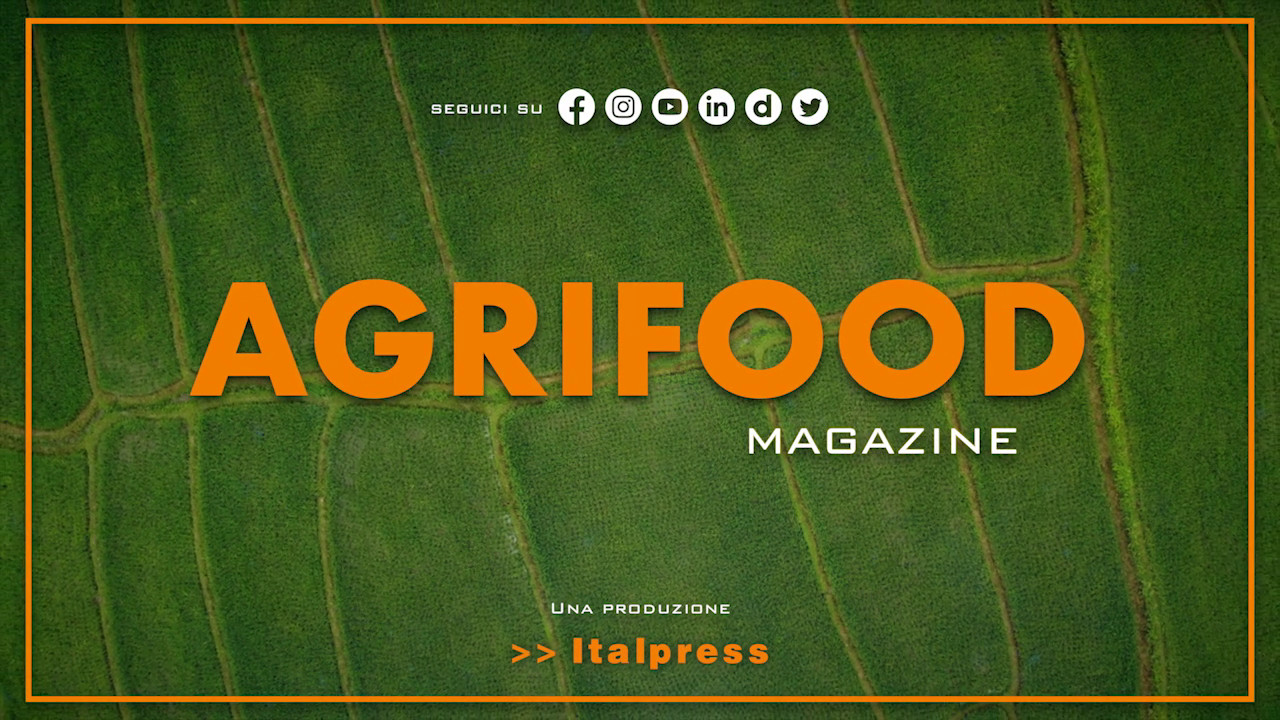 Agrifood Magazine - 5/4/2023