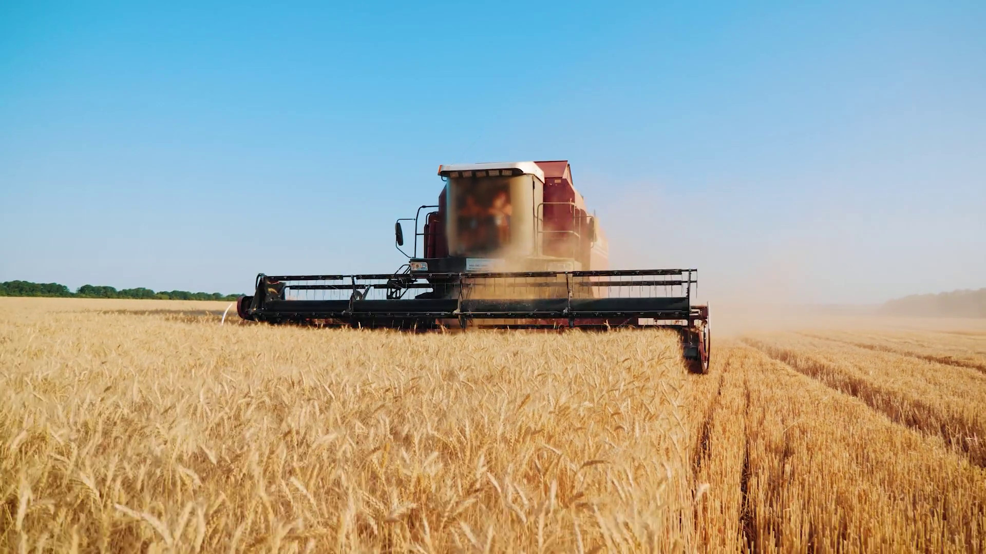 Grano duro, altri 10 milioni per la filiera nazionale