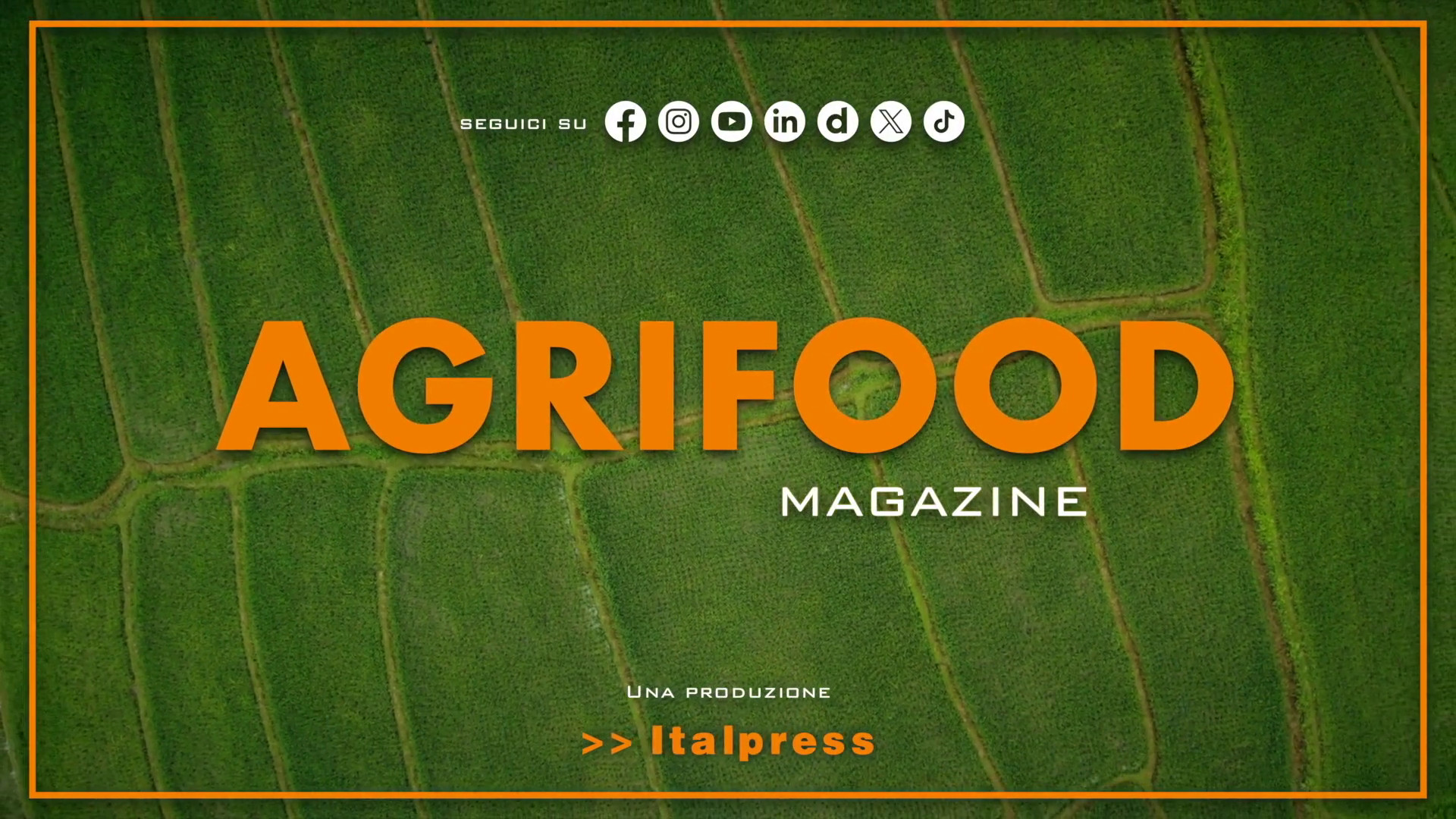 Agrifood Magazine - 14/5/2025