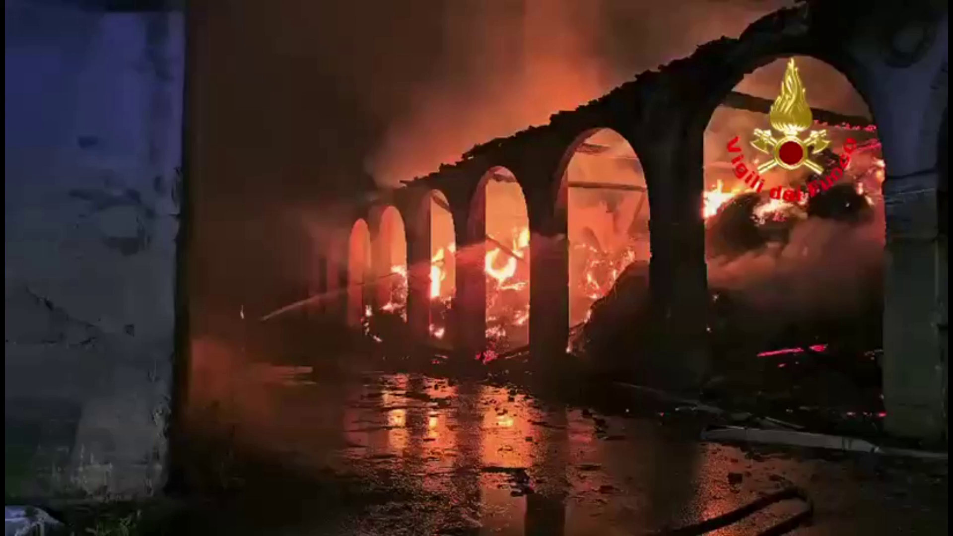 Nel Milanese scoppia un incendio a causa del maltempo, salvate 510 mucche