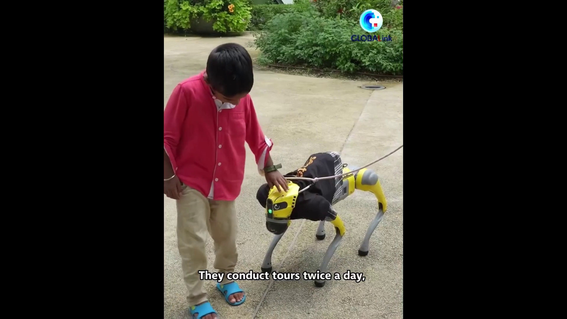 Singapore: cani robot cinesi dotati di IA offrono esperienze di turismo smart
