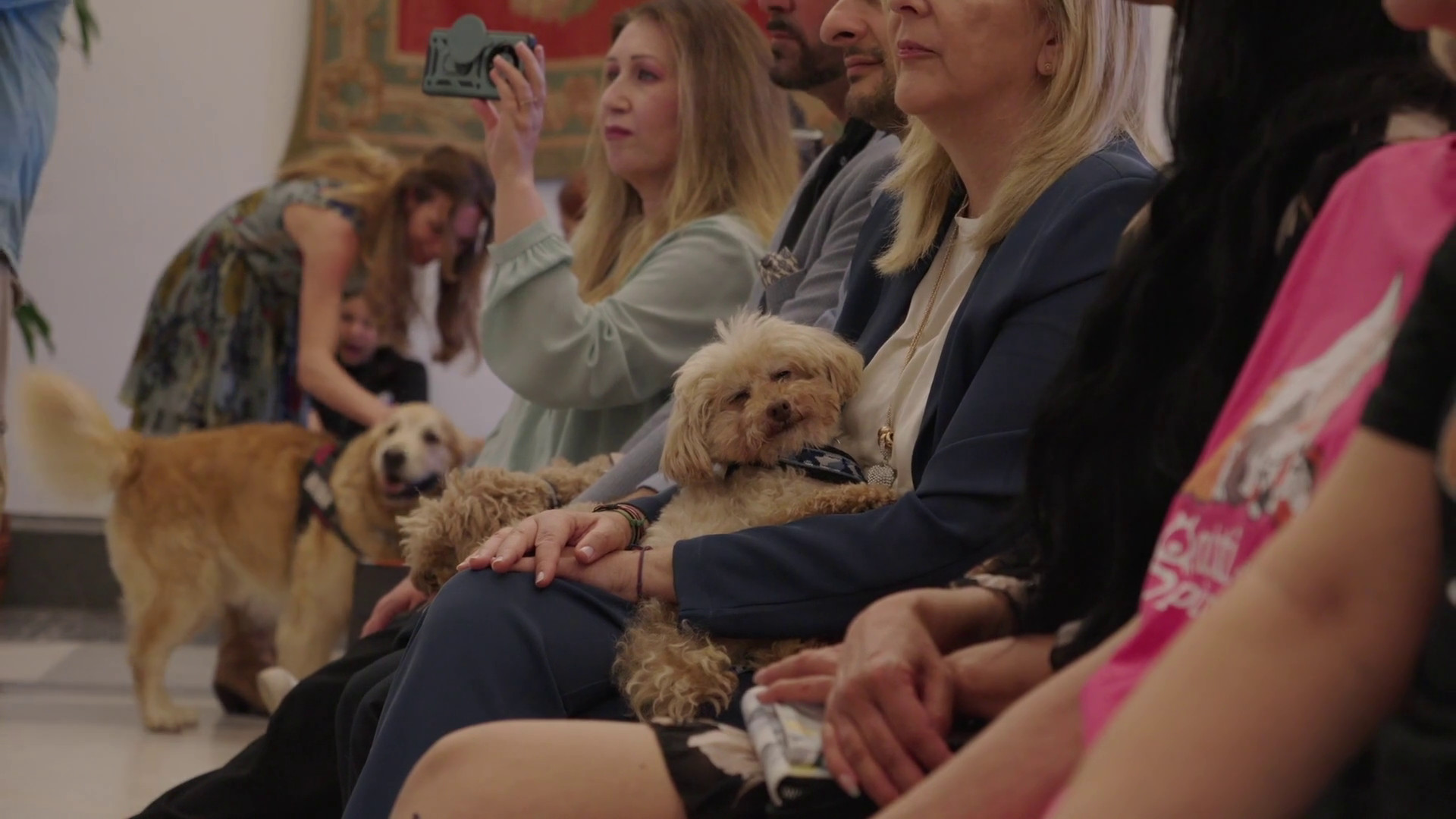 Animali, assegnati i premi Penna d'Oca del Campidoglio